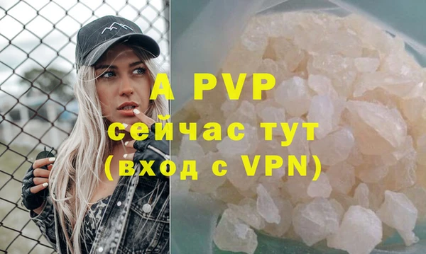 apvp Верея